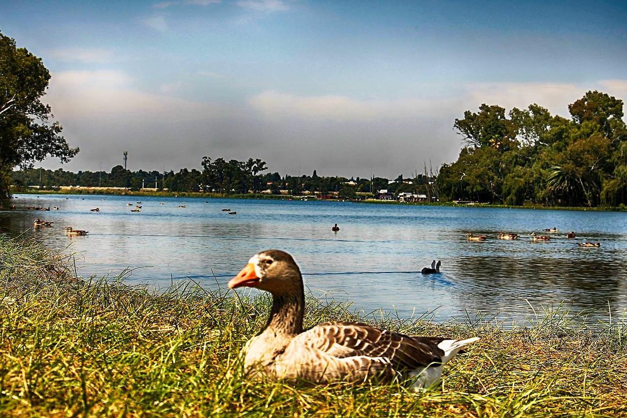 Lakeview Boutique Hotel & Conference Center Benoni Eksteriør bilde